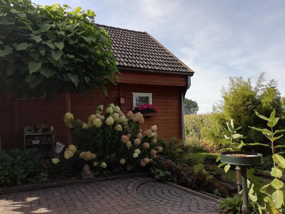 Vila Woodstock B+B Drouwenermond Exteriér fotografie