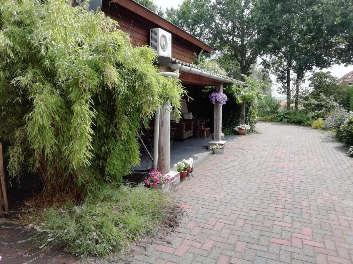 Vila Woodstock B+B Drouwenermond Exteriér fotografie
