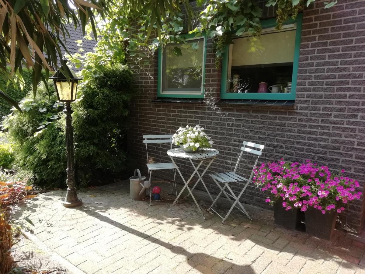 Vila Woodstock B+B Drouwenermond Exteriér fotografie